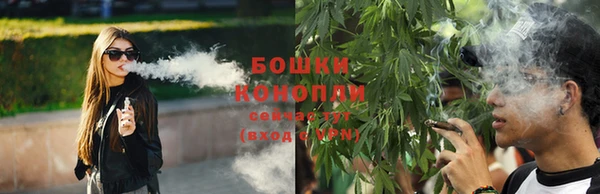 прущая мука Гусев