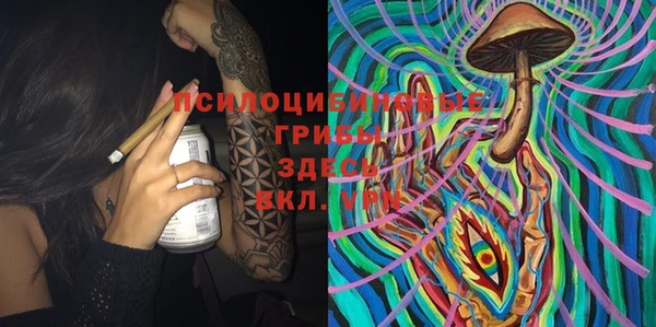 прущая мука Гусев