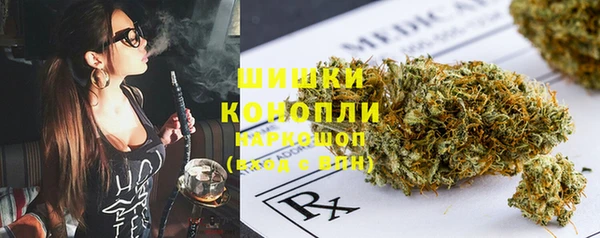прущая мука Гусев