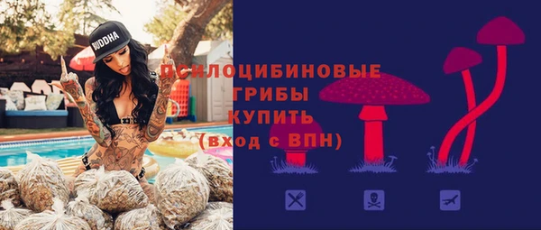дмт Кущёвская