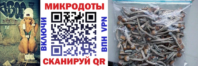 Псилоцибиновые грибы прущие грибы  Володарск 